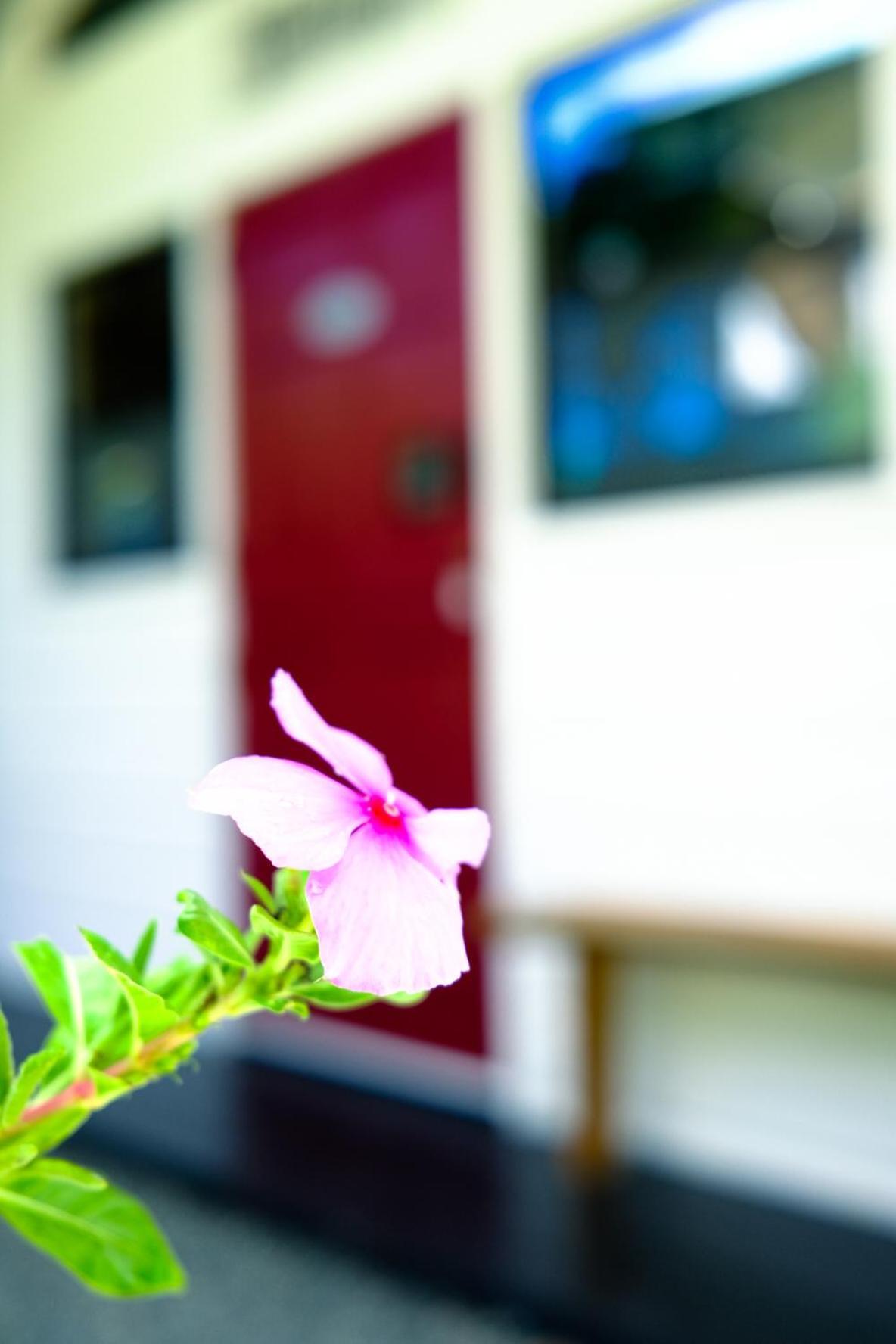 Silk Cotton Cottages Parrot Hall Екстериор снимка